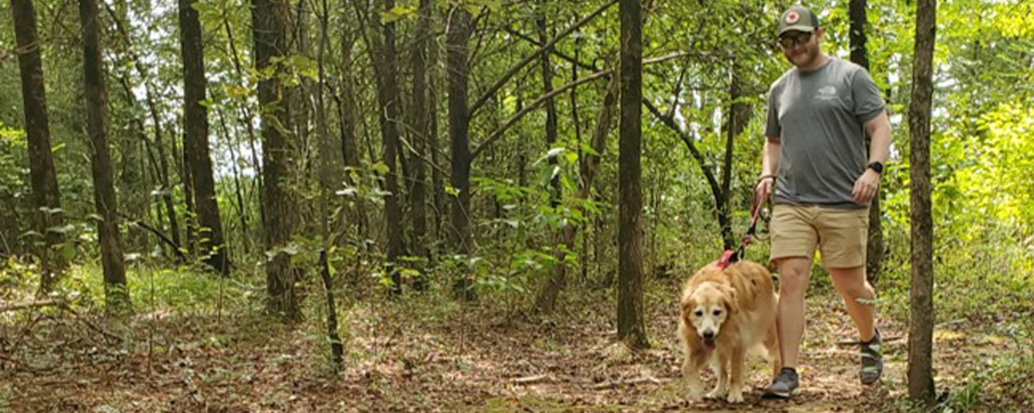 Take a hike with your dog