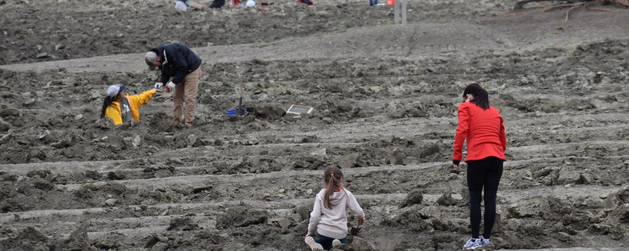 Crater of Diamonds State Park Search Field