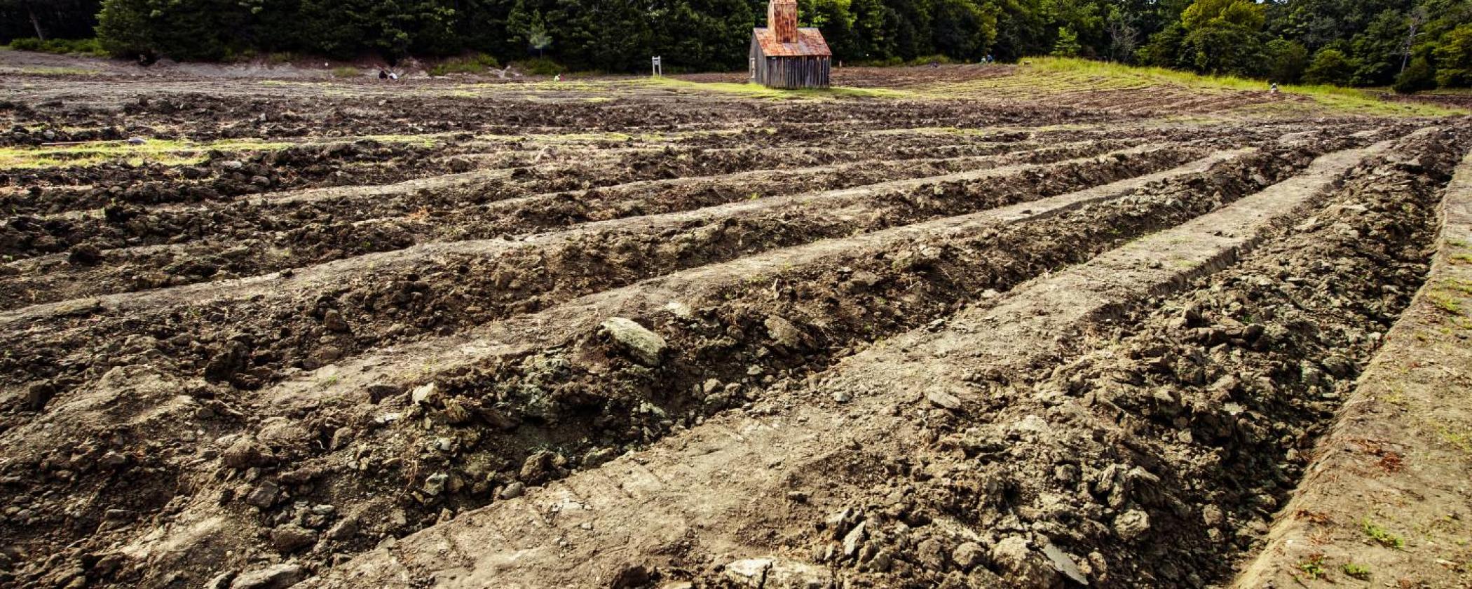 Crater Of Diamonds Plow Schedule 2022 Plowing The Search Area | Arkansas State Parks
