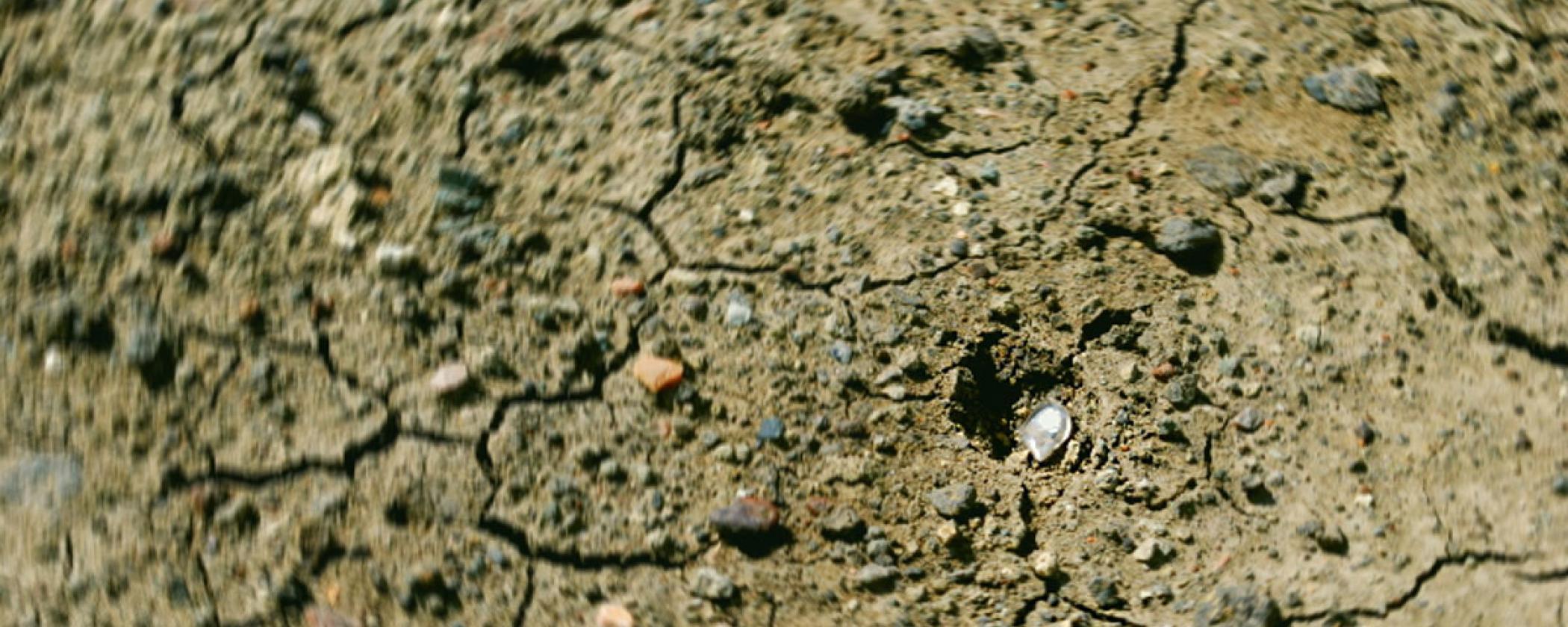 Tips For Finding Diamonds On The Surface Arkansas State Parks