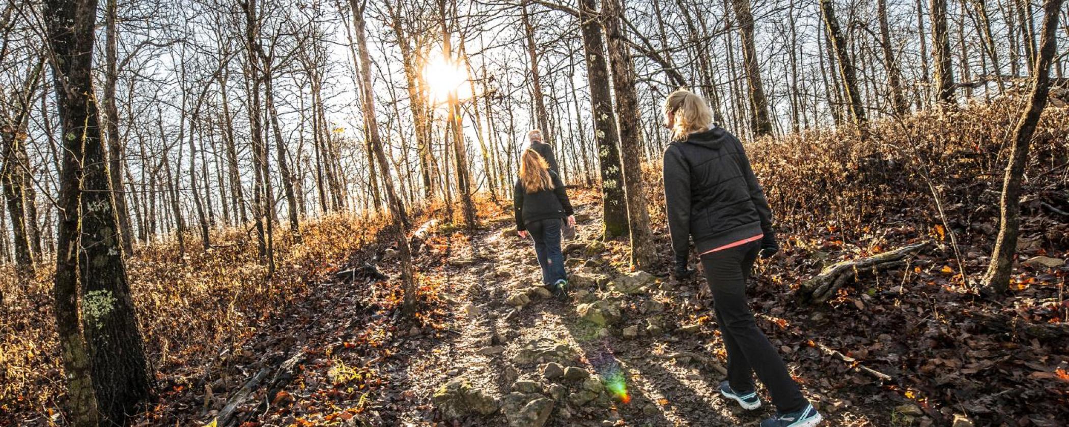 Hiking at Mount Magazine State Park in the winter. The leaves are off the trees and the three people are dressed in winter clothes. The sun is shining through the trees.