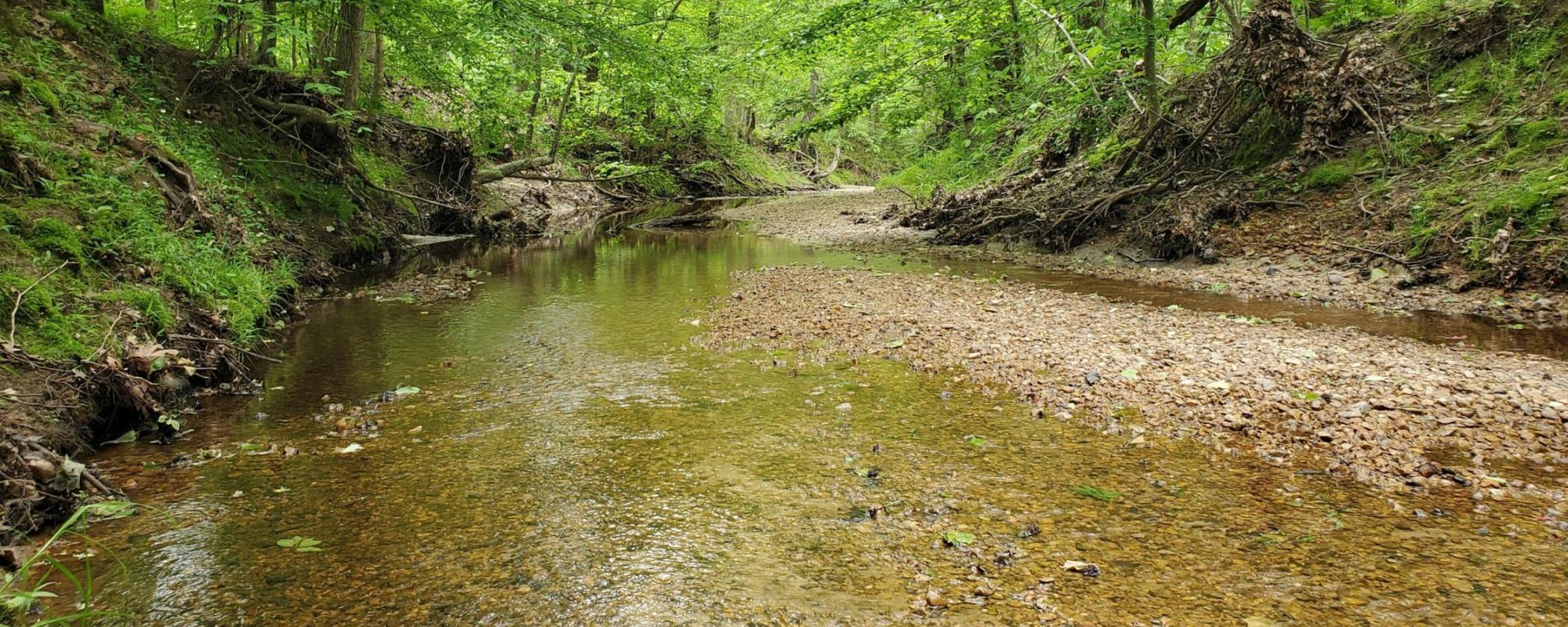 Village Creek with green trees around the banks
