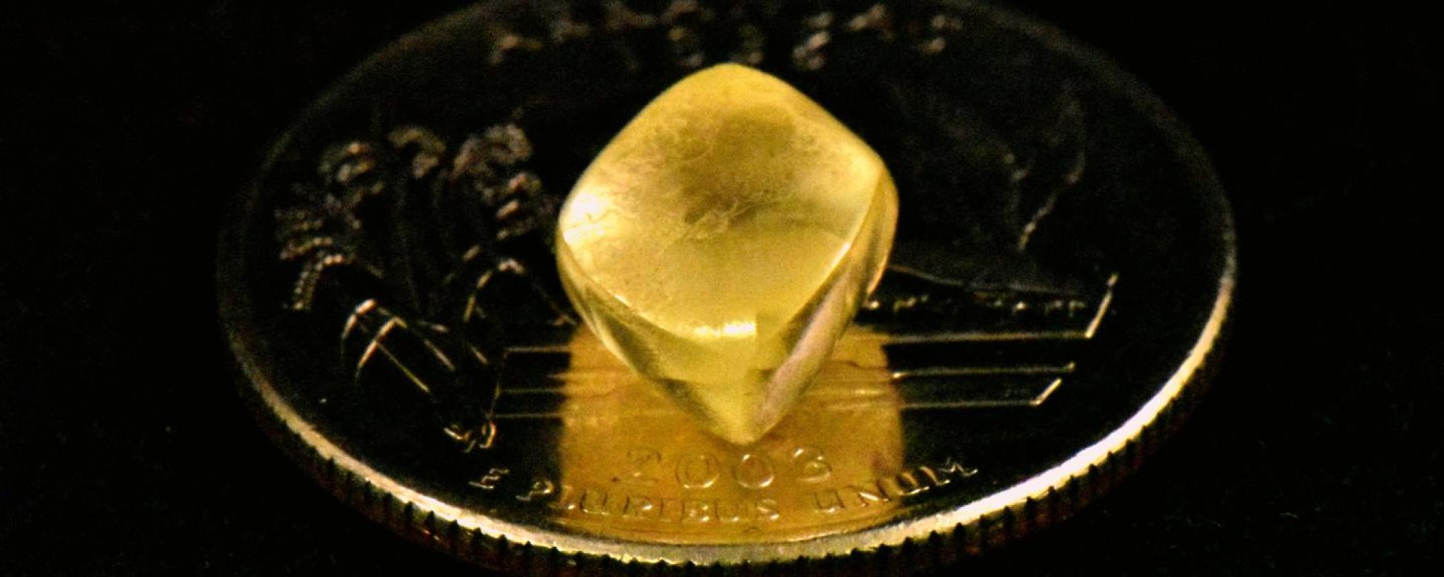 2021 largest diamond found at Crater of Diamonds State Park. It's a 4.38 carat yellow diamond sitting on top of a quarter for scale