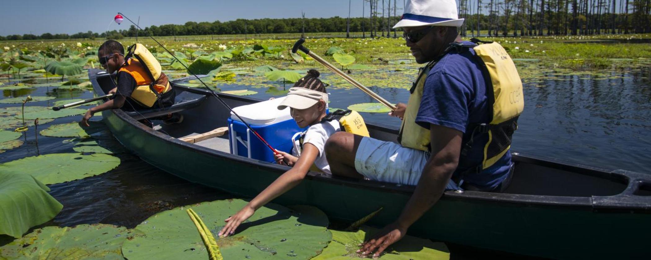 Family canoeing at Cane Creek and touching the lilly pads