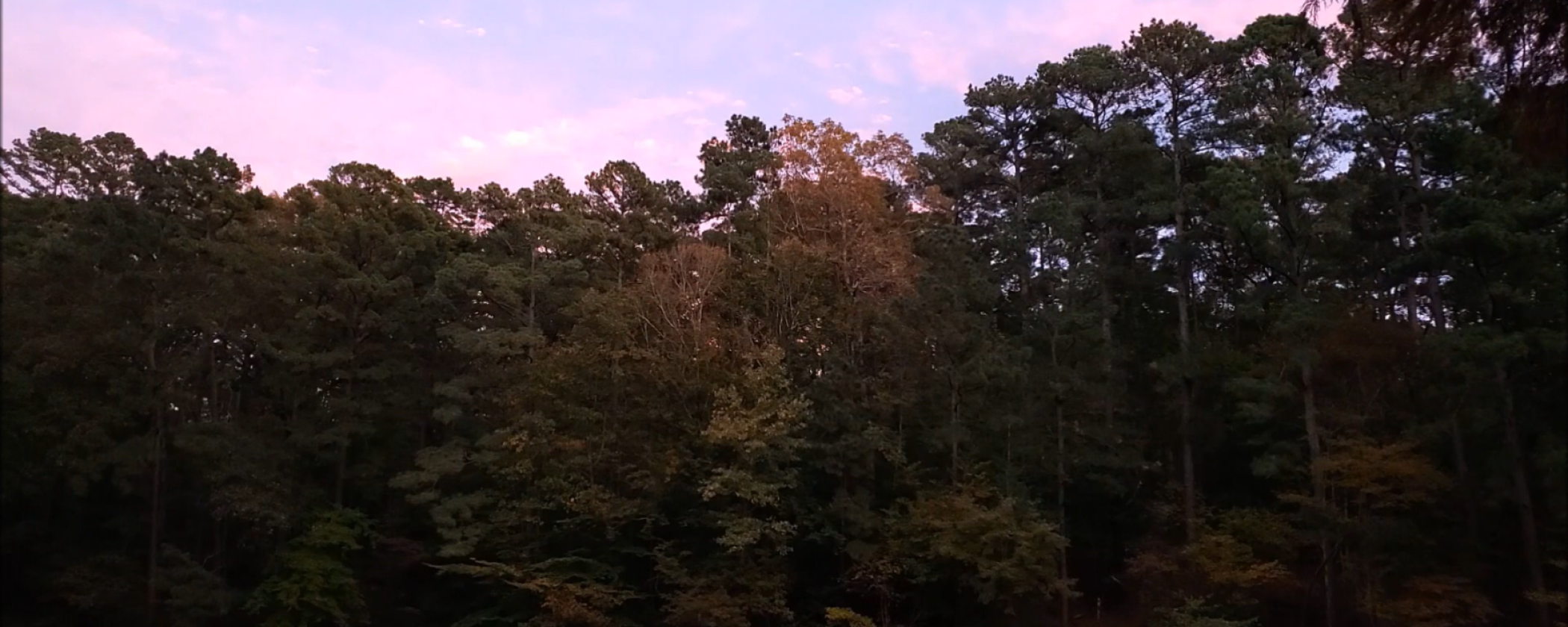 Sunset at Logoly State Park