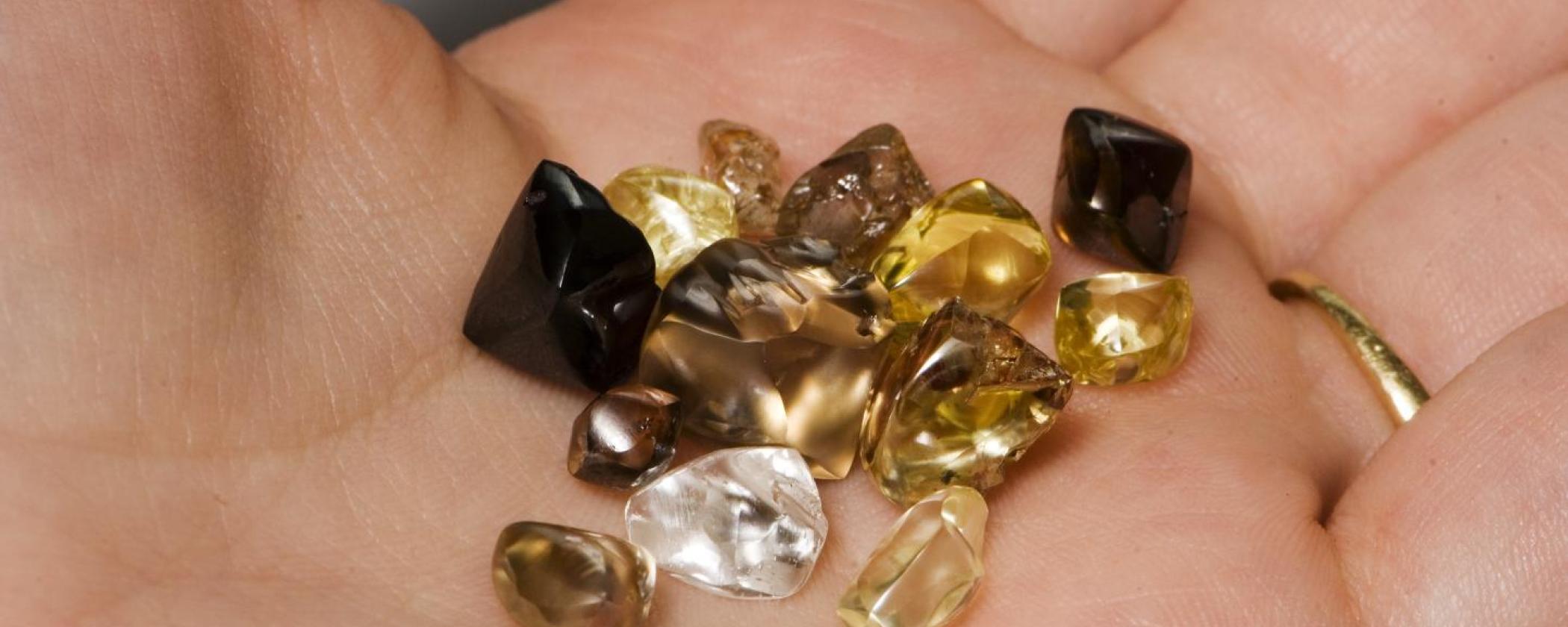 Someone holding white yellow and brown diamonds found at Crater of Diamonds State Park in their hand