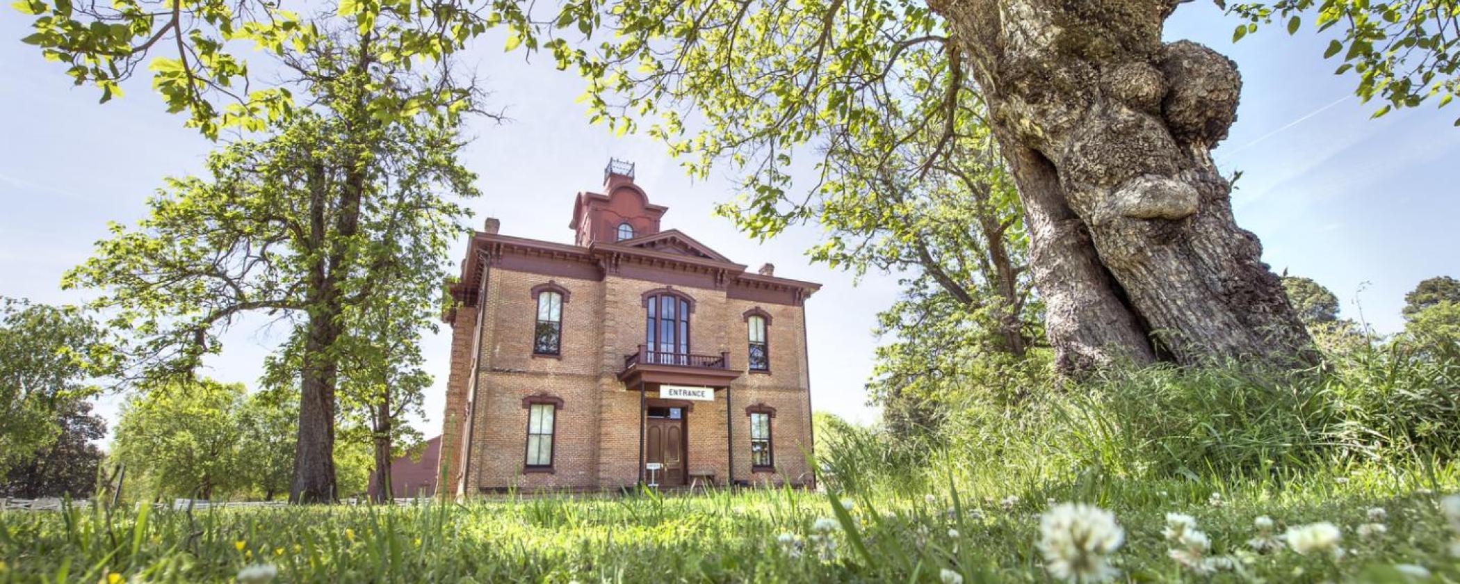 Courthouse at Historic Washington State Park in background with green grass, flowers and a large tree in foreground