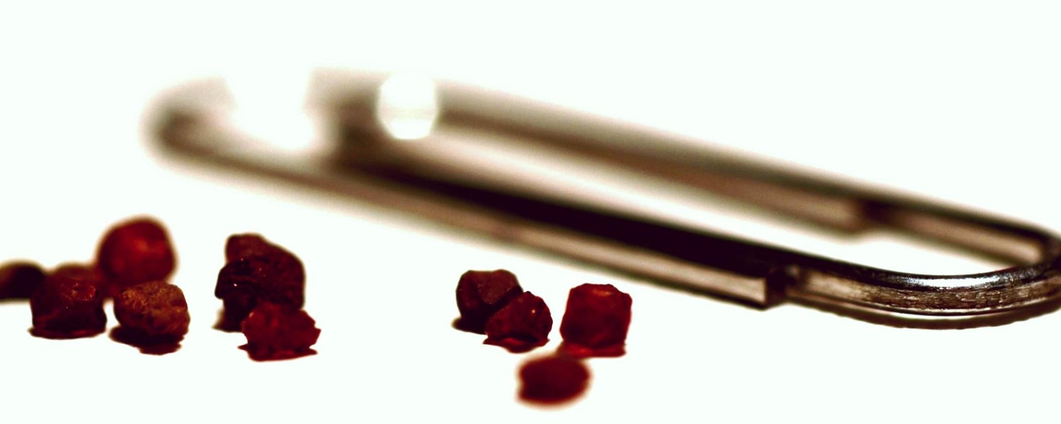 Finding garnets at Crater of Diamonds