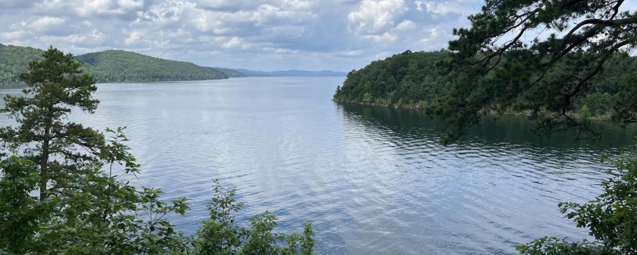 View of Lake Ouachita from the Caddo Bend Trail at Lake Ouachita State Park.