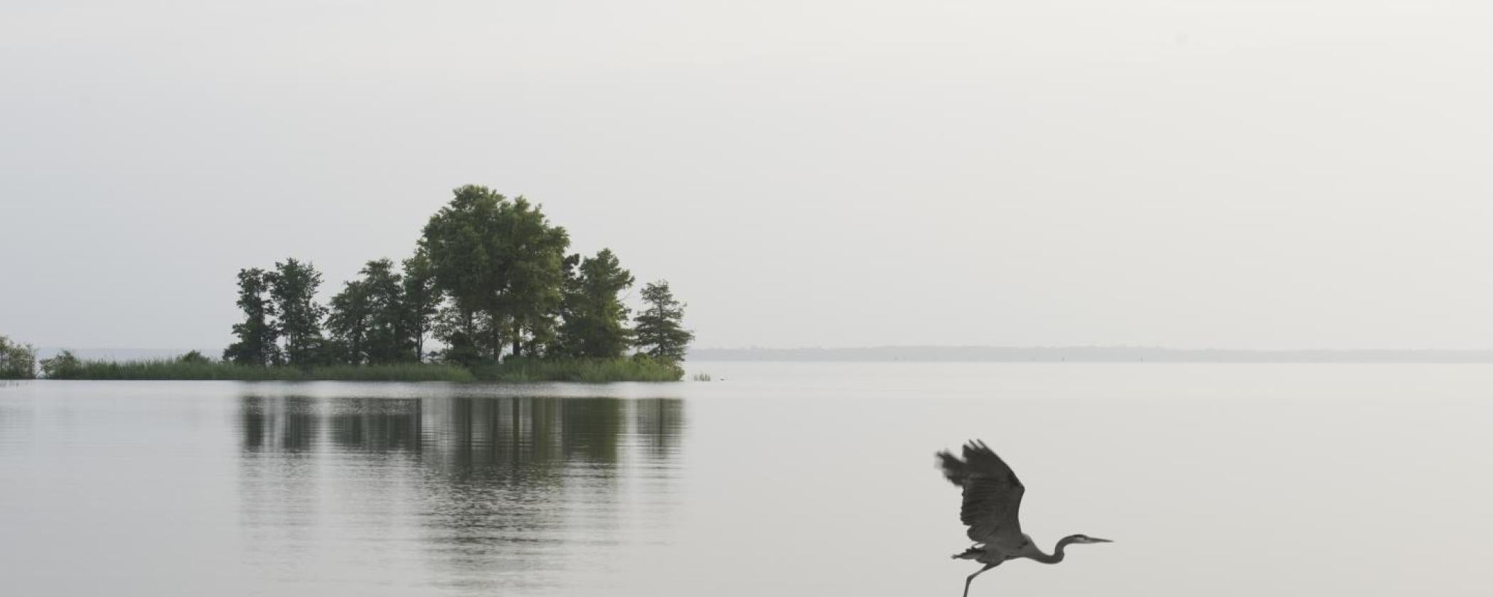 File photo of Millwood Lake. Photo by Kirk Jordan.