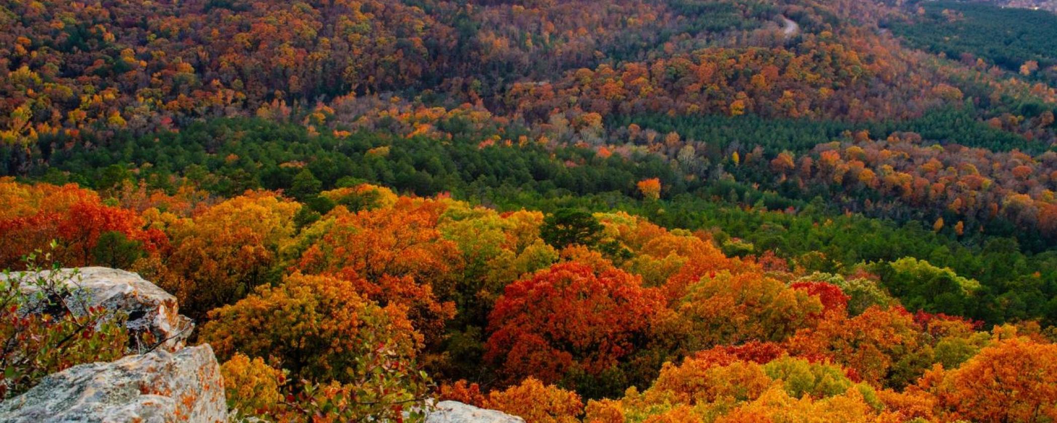Petit Jean Overlook in the fall