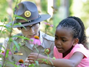 Great Arkansas Cleanup