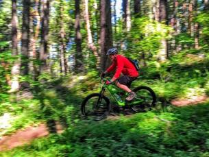 Grady Mountain Biking