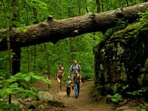 Hiking at Petit Jean State Park