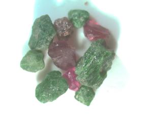 Garnet-and-Chrome-Diopside