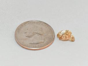 Diamond found at Crater of Diamonds State Park next to quarter for scale