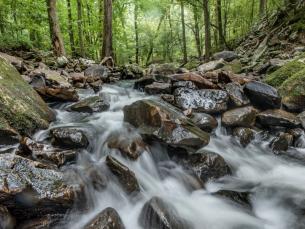 Cedar Creek Trail at Petit Jean State Park