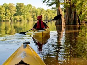 Kayaking Among Flooded Cypress at Mississippi River State Park