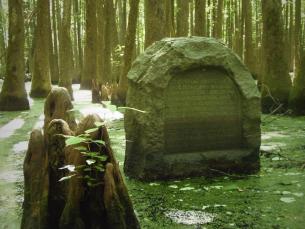 Granite monument in swamp with water at its base. Trees growing in background as far as viewer can see.  