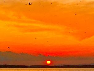 Sunset at Bird Island at Lake Ouachita State Park