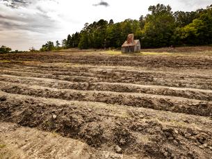 Crater of Diamonds State Park Search Field