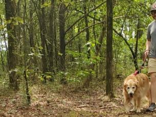 Hiker walking with dog