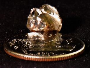 9.07-carat brown diamond found at Crater of Diamonds State Park