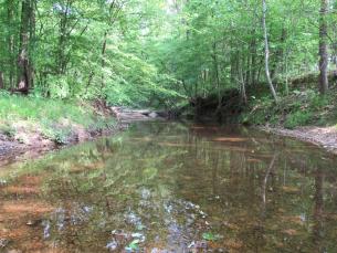 A panoramic view looking down the creek’s banks, near the park’s Big Ben Nature Trail 