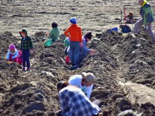 Crater of Diamonds State Park Search Field