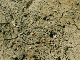 Diamond on surface at Crater of Diamonds State Park