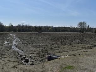 Crater of Diamonds State Park Search Field