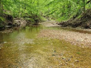 Village Creek with green trees around the banks