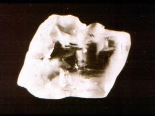 40.23 ct Rough Uncle Sam 1924