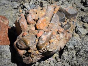 An example of a conglomerate. 