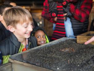 Searching for a diamond at Crater of Diamonds State Park.