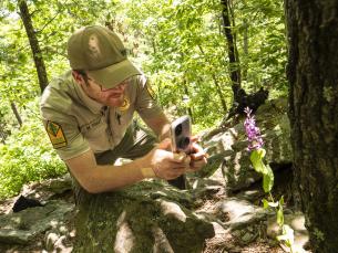 A park interpreter photographs local flora