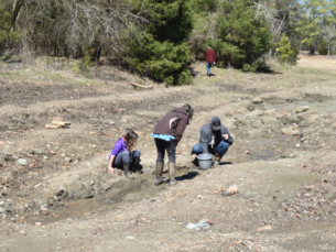 Eco-friendly solutions for take home containers