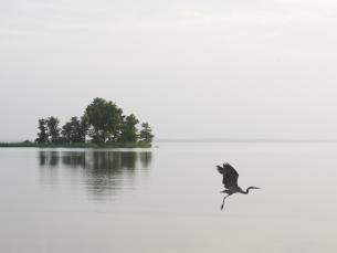 File photo of Millwood Lake. Photo by Kirk Jordan. 