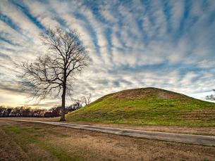 Plum Bayou Mounds Archeological State Park