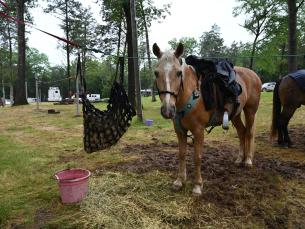 The horse campground at Devil's Den State Park. Photo by Kirk Jordan. 