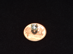 Visitor finds 3.36-carat diamond at Crater of Diamonds State Park