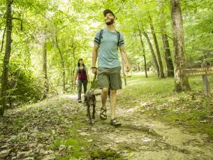 The terrain at Village Creek State Park. 
