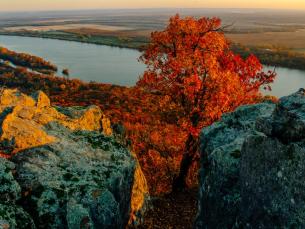 Petit Jean