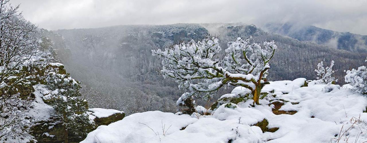 Mount Magazine State Park