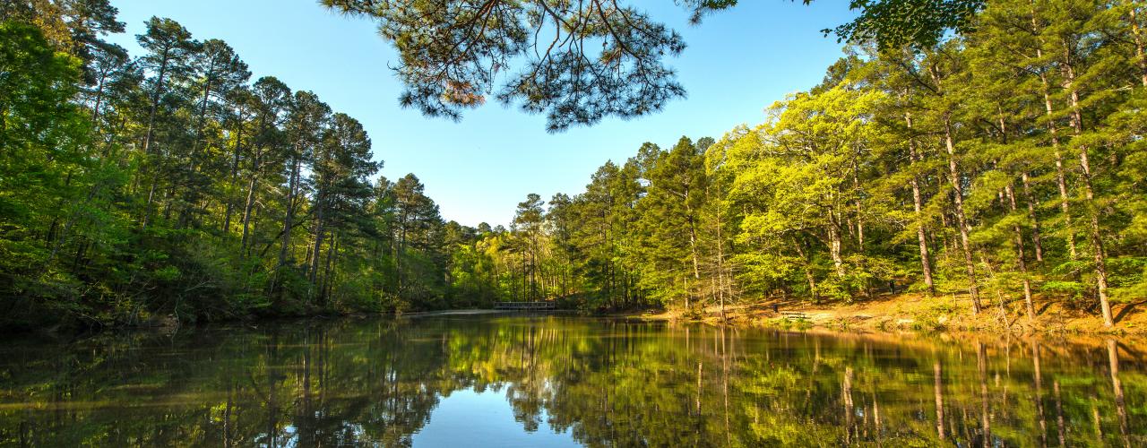 Logoly State Park