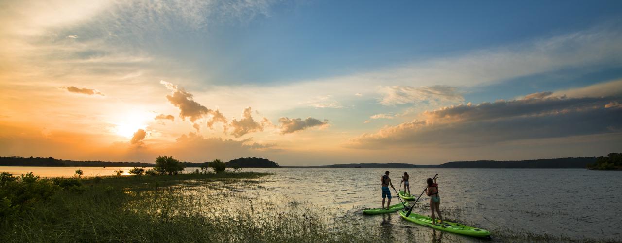 Group Paddle Boarding among the marshes at sunset on DeGray Lake