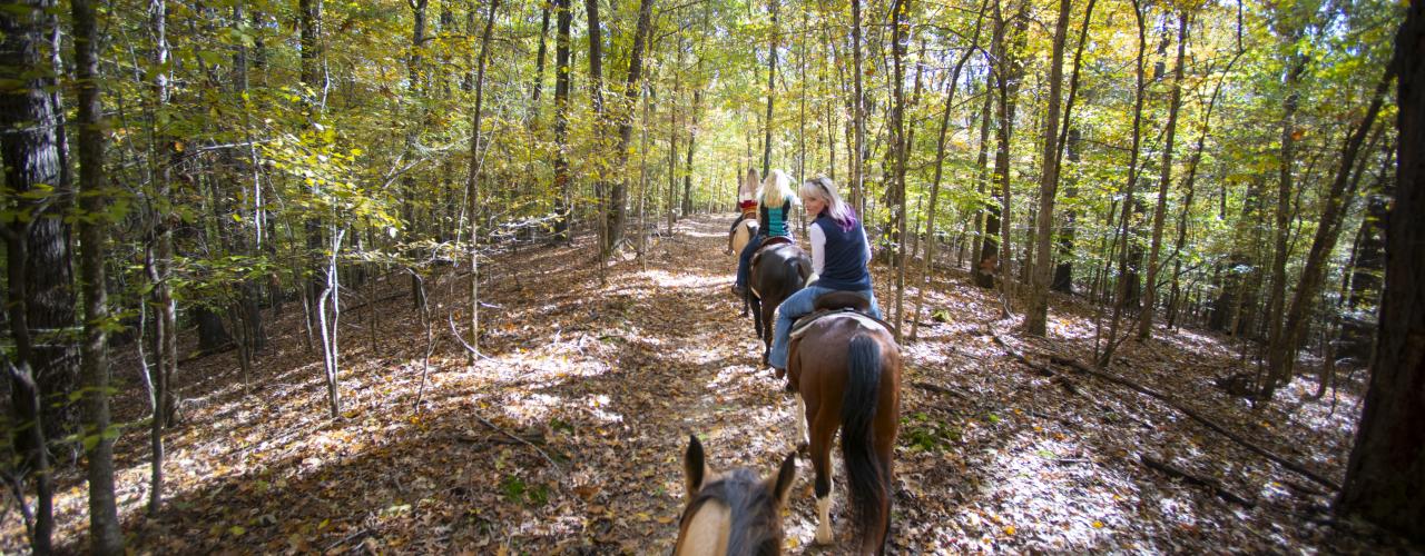 Village Creek State Park