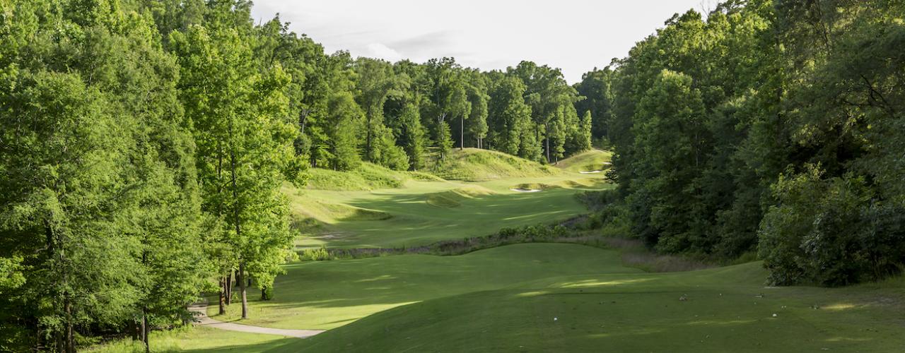 Golf course fairway lined with trees