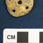 Bone disc