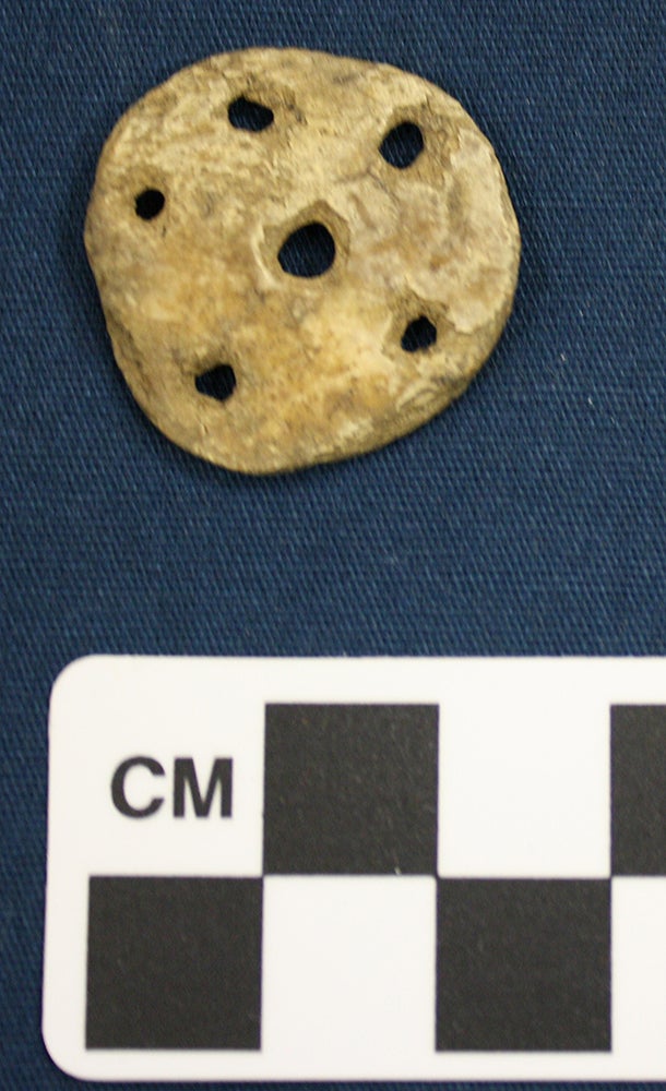 2010 Md P 2bone disc paragraph 3 Bone disc